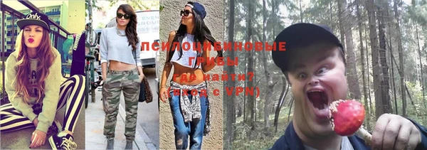 таблы Алексеевка