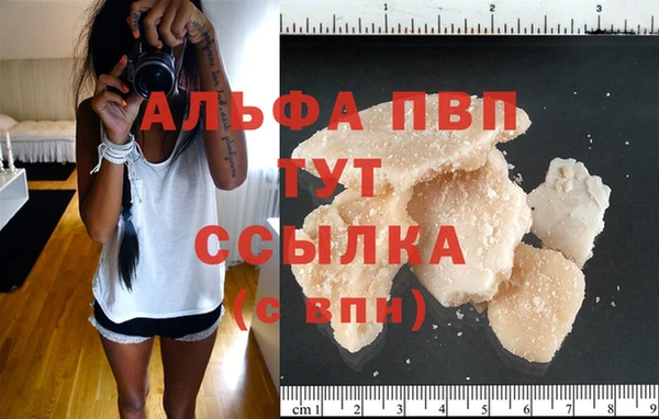 стафф Армянск