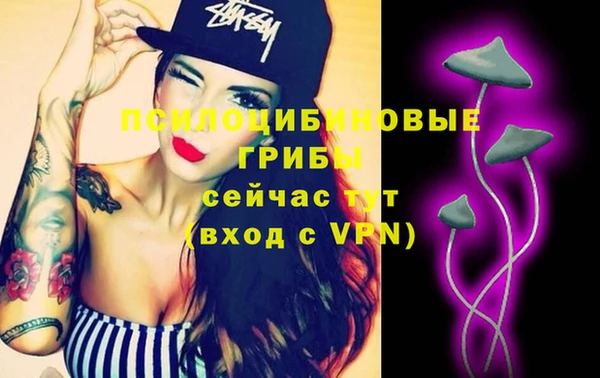 стафф Армянск