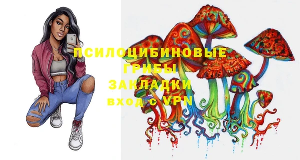бошки Арсеньев
