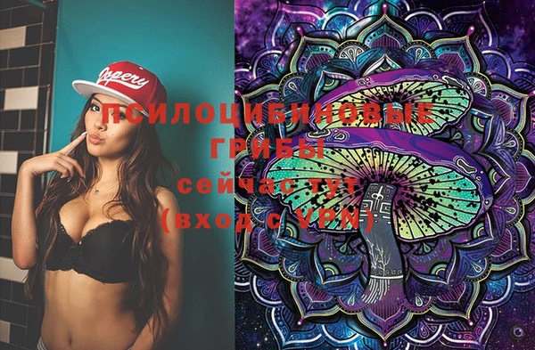 дживик Осинники