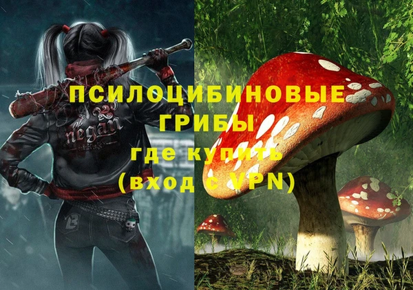 стафф Армянск