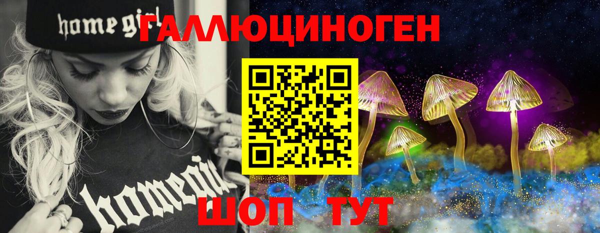Галлюциногенные грибы Cubensis Глазов